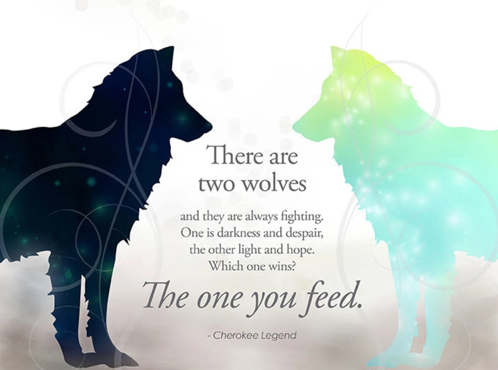 The One You&nbsp;Feed