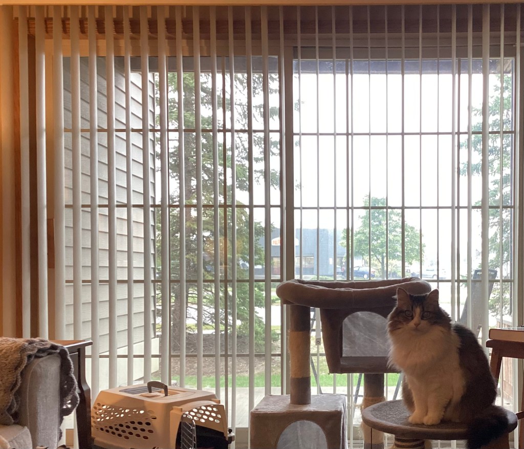 Blessing of the&nbsp;Morning